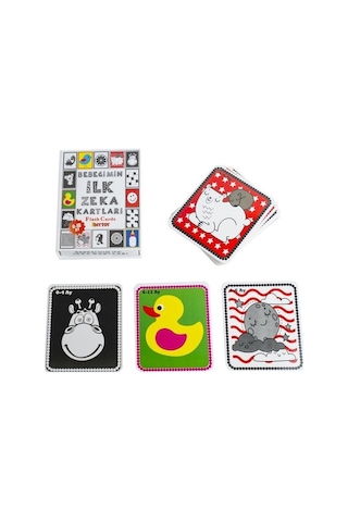 Diytoy Bebeğimin ilk Zeka Kartları
