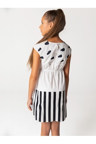 Sheshe Papağan Desenli Pamuklu Kız Çocuk Elbise Renkli