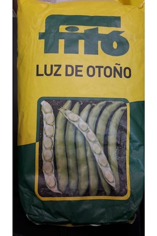 Luz De Otono Ithal Bakla Tohumu 1 Kg