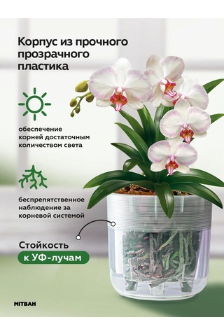 Mıtbah Orkide Saksısı Şeffaf Saksı 6 L 412404371