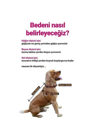 Miniş Striped İnce Triko Küçük Irk Köpek Kazağı-21585