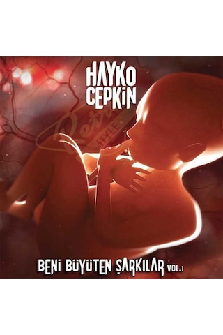 Hayko Cepkin - Beni Büyüten Şarkılar. 33'Lük Plak. LP