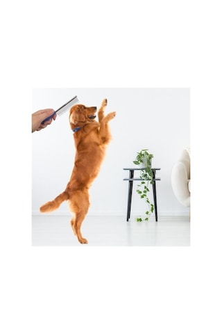 Ergonomik Kedi Ve Köpek Tüy Açma Tarağı, Köpek Kıtık Açıcı Bakım Tarağı, Metal Tarama Fırçası, Tüy Dö