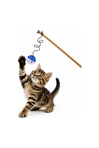 Kedi Oltası - Dawcat - Plastik Toplu - Beyaz/mavi
