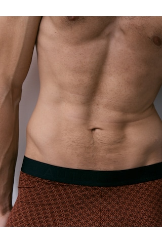 Marks & Spencer 5'li Microskin Geometrik Desenli Hipster Boxer T14006129a Kahverengi