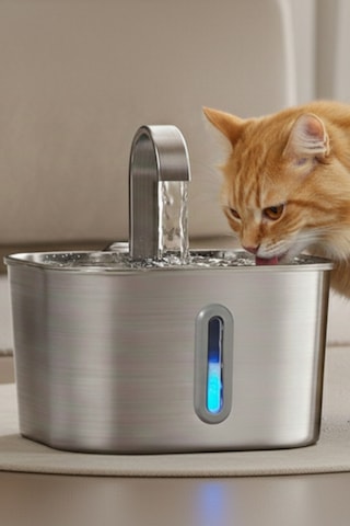 2.2 L Su Seviyesi Göstergeli Paslanmaz Çelik Kedi Köpek Için Su Pınarı Su Çeşmesi Su Sebili B20