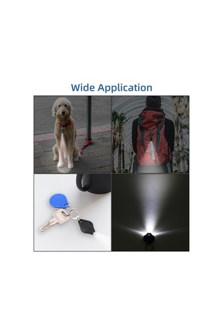 Honmex 10'lu Paket Mor Kasa Anahtar Zinciri Feneri, Beyaz Led Işıklı, Basma/kaydırma Anahtarı, Cr2032 Pil Dahil Siyah