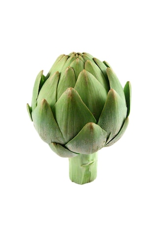 20+ Adet Yeşil Küre Enginar Tohumu