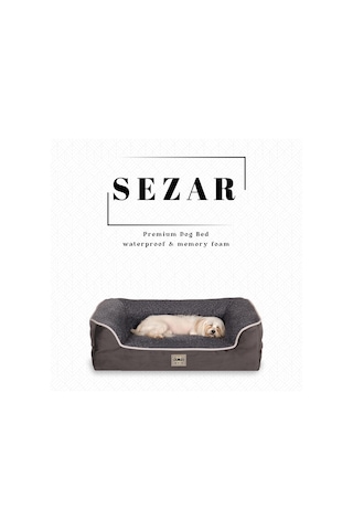 Jungolica Sezar Kedi Ve Köpek Yatağı Antrasit 55x75 Cm, Ortopedik Visco,%100 Su Geçirmez Alez, Çıkarılabilir Yık