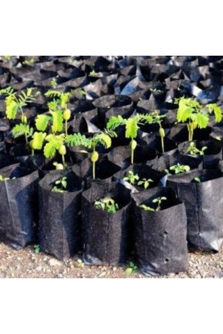 Fidan Poşeti 25 adet 25x50 cm Fidan Torbası Fide Poşeti Fide Torbası Fide Fidan Yetiştirme Poşet