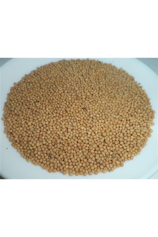 As Baharat Hardal Tohumu Sarı 1. Kalite 1 Kg