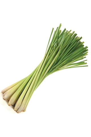 Lemon Grass Fidesi 2 Adet Lemon Grass Fidesi 2 Adet