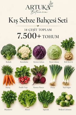 Kış Sebze Bahçesi Tohum Seti 14 Çeşit 7.500+ Tohum Brokoli, Karnabahar, Kırmızı & Beyaz Lahana, Kereviz, Havuç, Fındık Turp, Pancar, Pırasa, Yeşil Soğan, Maydanoz, Marul, Ispanak, Brüksel Lahanası