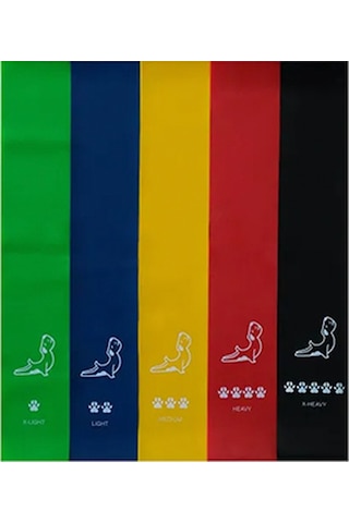 Seviyeli Direnç Bandı Seti Çok Renkli