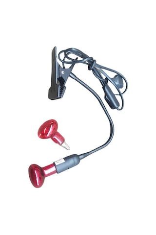 İnfi̇rared Isıtıcı Lamba 40 Watt 2 Lamba 1 Armatür Sürüngen Isıtıcı