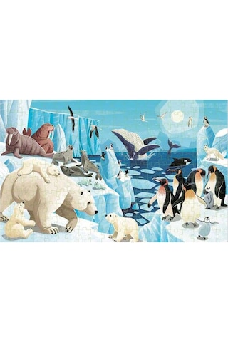 Sassi Save The Planet - The Poles