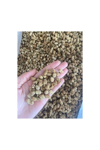 Kuru Dut 250 Gram 250 G