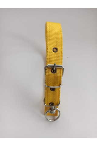 Kozaklı Orta Irk Köpek Tasması Sarı 60 x 3 CM