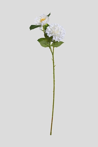 Beyaz Yapay Dahlia Yıldız Çiçeği 2 Dallı Lüx İpeksi Dokulu 65 Cm