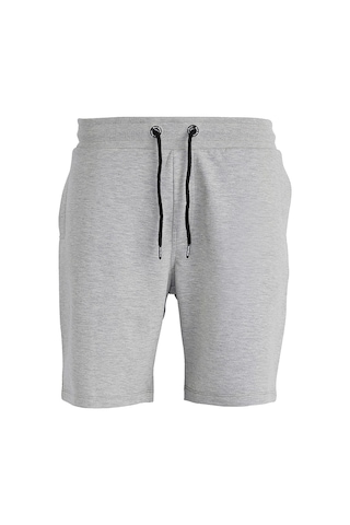 Bad Bear Display Erkek Sweat Şort 21.01.18.002 Gri