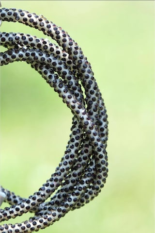 Taşlı Şarj Kablosu A Kalite Aplle Usb Type C