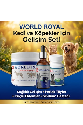 Gold -köpek Kedi Collojen Msm Amino Probiyotik Yara Spreyi Parfüm