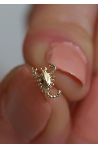 14 Ayar Altın Akrep Tragus Piercing Sarı