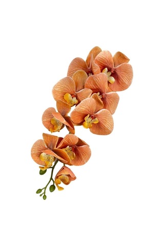 Yapay Çiçek Somon Rengi Islak Orkide Uzun Dal 90 Cm Orkide Çok Renkli
