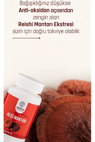 Reişi Mantarı 1000 Mg Günlük Destek 60 Kapsül Bitkisel Takviye