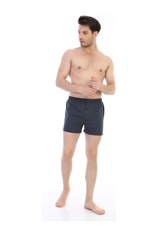 Çift Kaplan Erkek Penye Füme Boxer 805 Füme