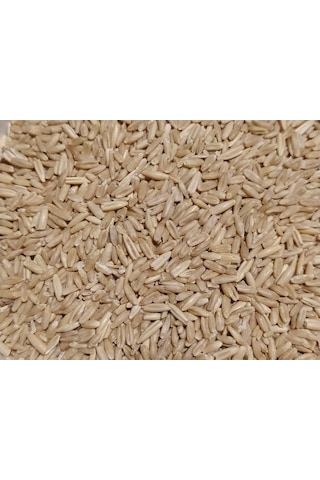 Yulaf Tohumu Kuş Yemi 500 Gr