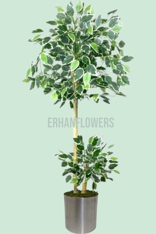150 Cm Ficus Yapay Ağaç Bambu 2 Gövdeli Metal Saksı Yeşil