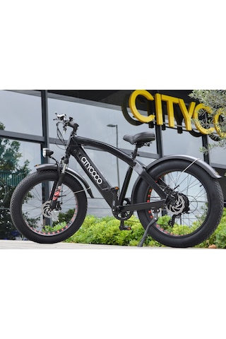 Citycoco Fatbike 250W