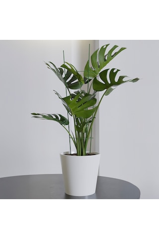 Garden With Ware Bitki Destek Kafesi - 60 Cm