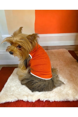 Kemique Basic Orange Atlet Köpek Kıyafeti Köpek Elbisesi