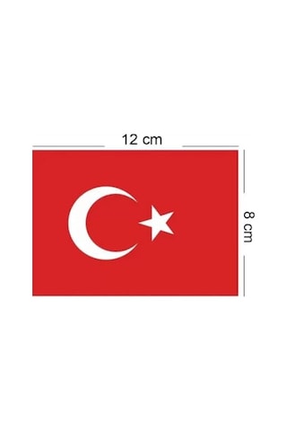 23 Nisan Süsleri 23 Nisan Hediyeleri İpli Ay Yıldızlı Bayrak 50 Li, 50'li Mini İ Pli Ata Baskılı Bayrak