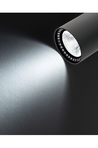 Noas 30W Paris Siyah Kasa Ray Spot Beyaz Işık YL29-3101