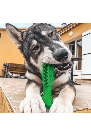 Buffer 12 x 9 x 4 CM Büyük Boy Diş Temizleyici Köpek Oyuncağı