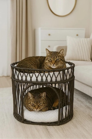 Reyo Tasaryum Çift Katlı Kedi Yatağı Ve Kedi Evi , Minderli İskandinav Tasarım Kedi Evi, Örgü Gövdeli Kedi Yuvası Antrasit