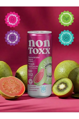 Nontoxx Guava & Kivi Aromalı, Sirkeli, Gazlı İçecek 250 Ml