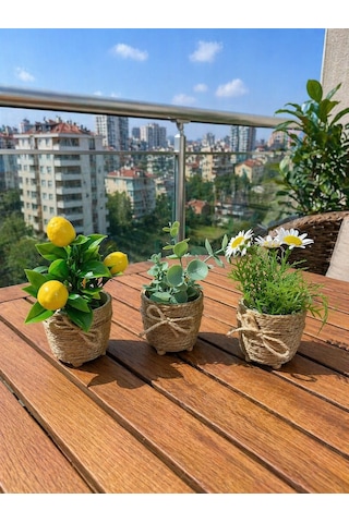 Mini Jüt İpli Saksı Yapay Papatya Limon Okaliptus Seti Dekoratif Şık Masa & Balkon Süsü Çok Renkli