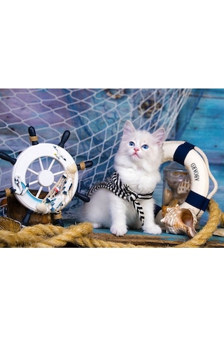 Enjoy Puzzle 1000 Parça Kaptan Kedi Yavrusu Puzzle
