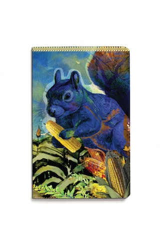 Nesin Defter Çizgili - Sofralardan Masallara
