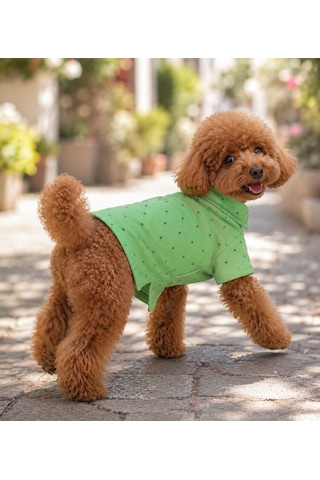 Miniş Green Küçük Irk Köpek Pike Kumaş Polo T-shirt-21595
