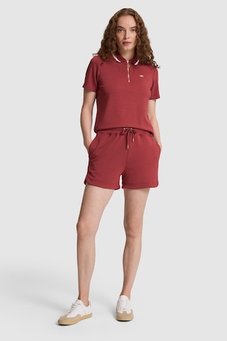 U.S. Polo Assn. Kadın Vişne Örme Şort 50323479 Vr223
