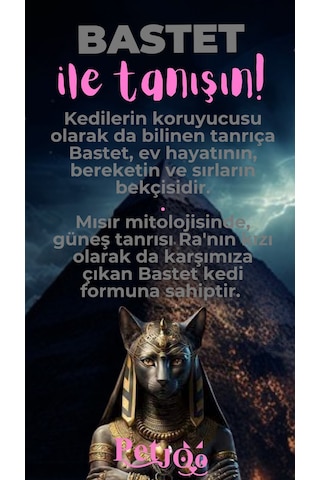 Petjoo 1.Bastet Pembe-Gri Qr'lı Kedi Künyesi