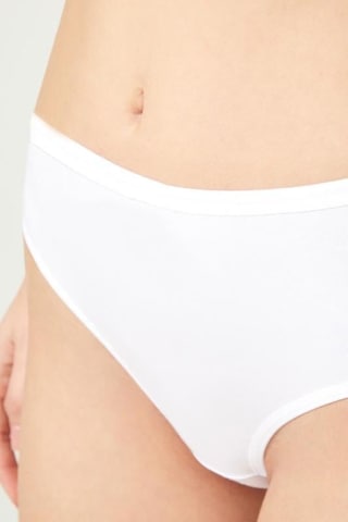 Cottonhill Basic Klasik Pamuklu Geniş Kenarlı Bato Külot 3'lü Paket -3 Çok Renkli 6 Çok Renkli