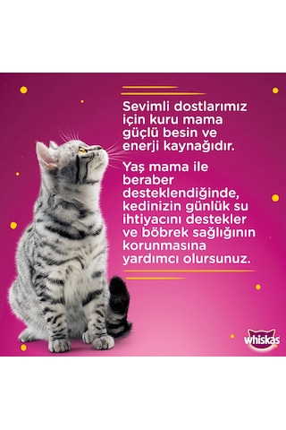 Whiskas Ton Balıklı Jöleli Konserve Yetişkin Kedi Maması 24 x 400 G