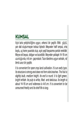Ata Tohumu Yerli Ampul Kabak Kumsal 20 Adet Tohum