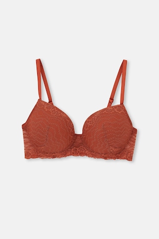 Eros 1210 Salvia Boş Cup Sütyen Külot Takım Kiremit V4